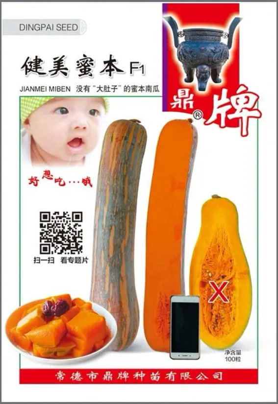 3元1斤的健美蜜本南瓜快成熟了，緬甸種植戶發(fā)來圖片與視頻