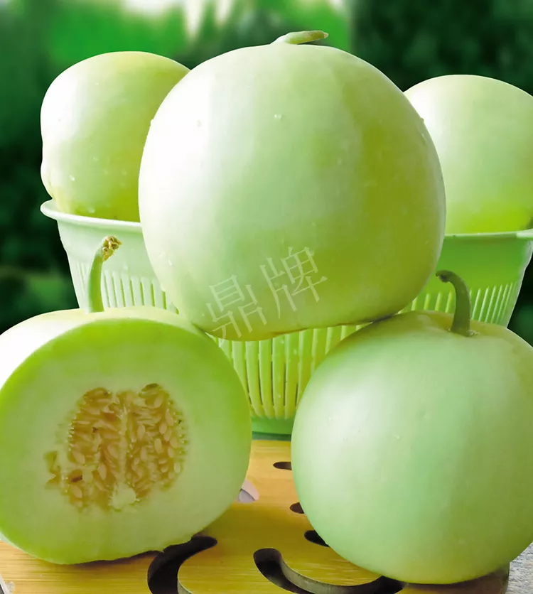 7元一斤還遭瘋搶，畝收益超2萬元！到底什么甜瓜能這么牛？