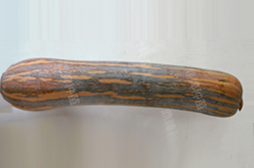 知道最甜最面的南瓜品種嗎？盤點十種有營養(yǎng)的甜面南瓜...