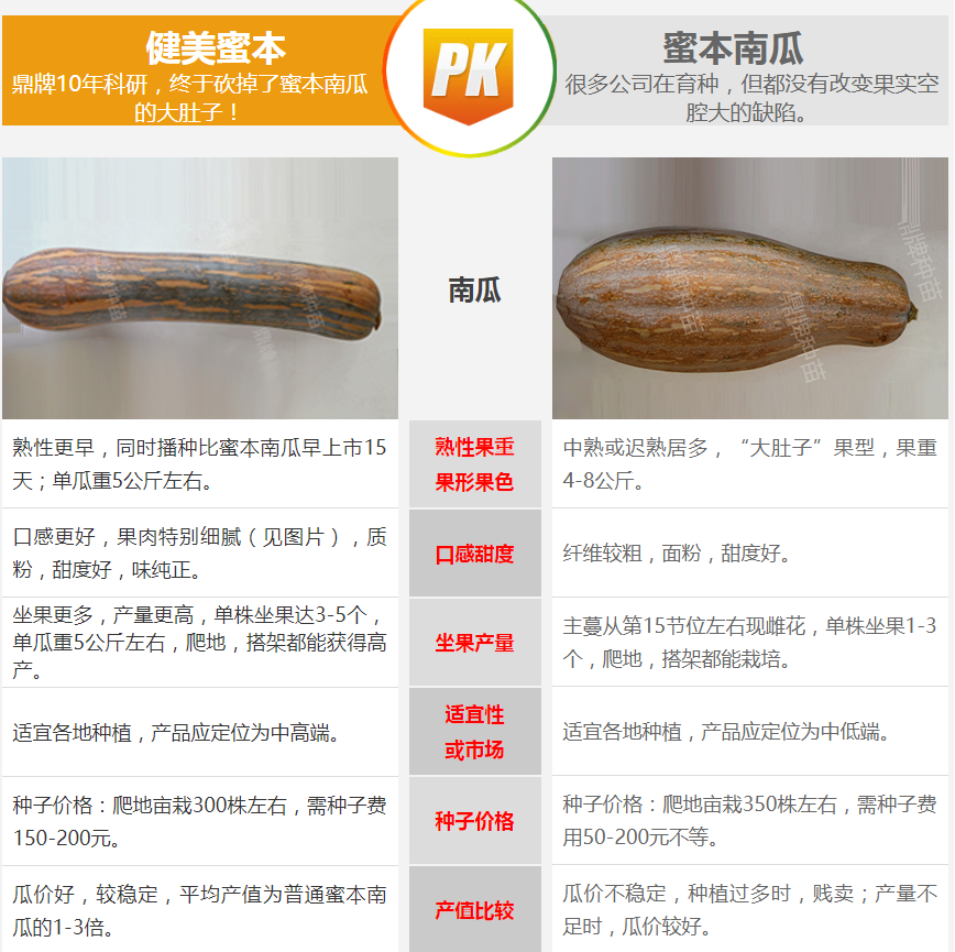 生吃都好吃南瓜新品種，沒(méi)有大肚子，肉質(zhì)更密致，農(nóng)戶試種下