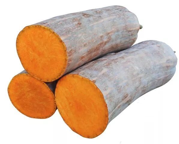 生吃都好吃南瓜新品種，沒(méi)有大肚子，肉質(zhì)更密致，農(nóng)戶試種下