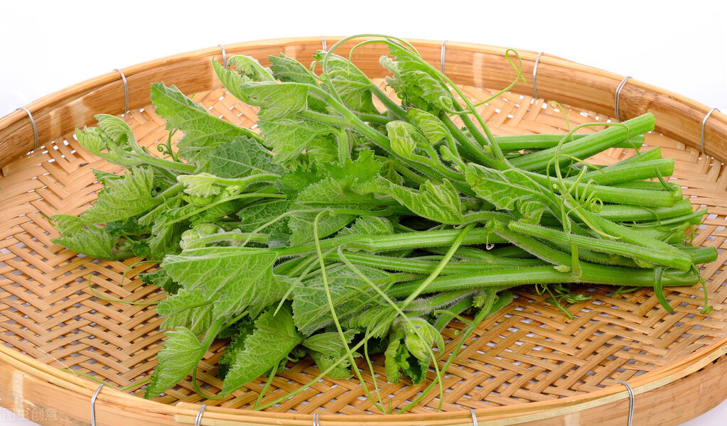 種這種綠葉菜，栽培輕松，畝產(chǎn)值過萬元，菜農(nóng)表示很劃算