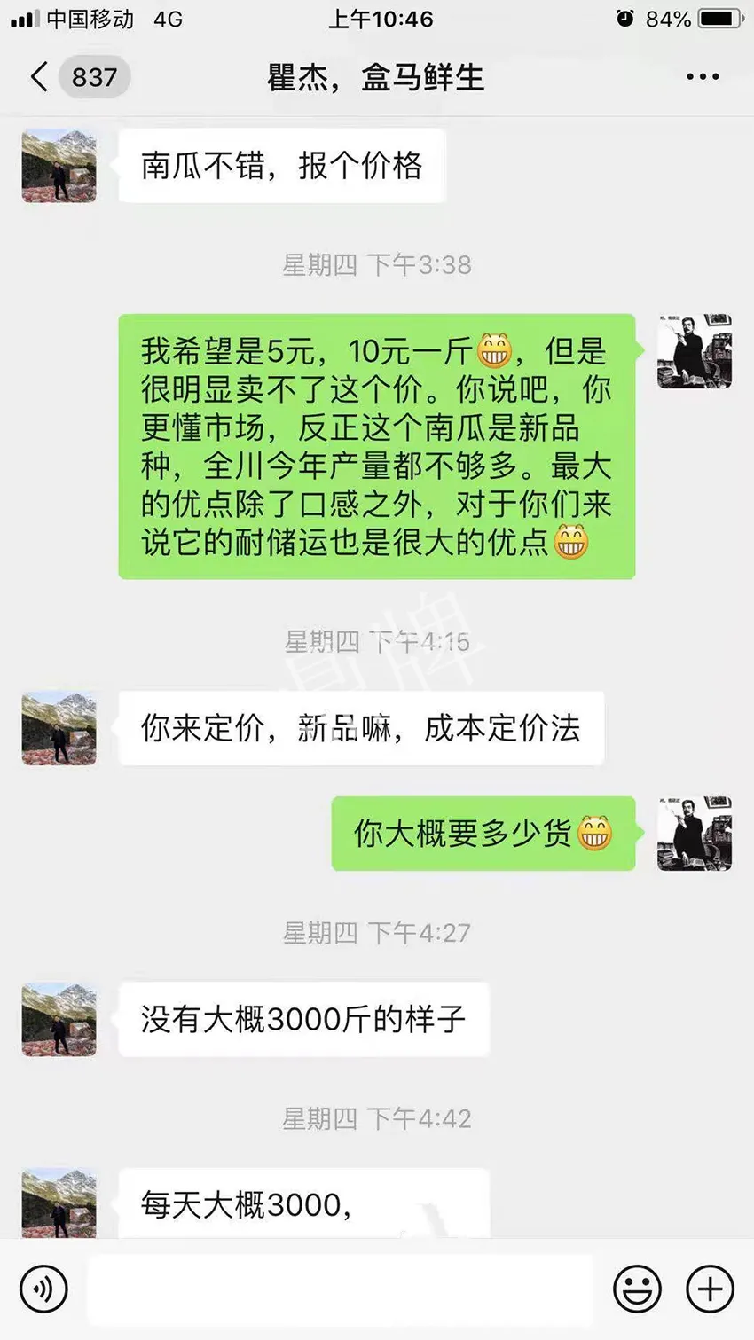 四川農(nóng)戶今年種“健美蜜本”南瓜產(chǎn)量高，品質(zhì)好，感覺巴適得很