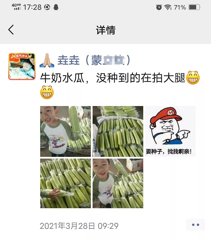 這個絲瓜每畝能掙3萬，沒種植的農(nóng)戶后悔得拍大腿